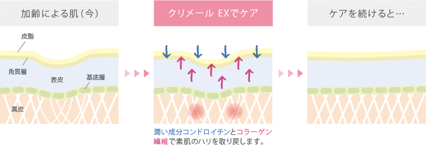 潤い成分コンドロイチンとコラーゲン繊維で素肌のハリを取り戻します。